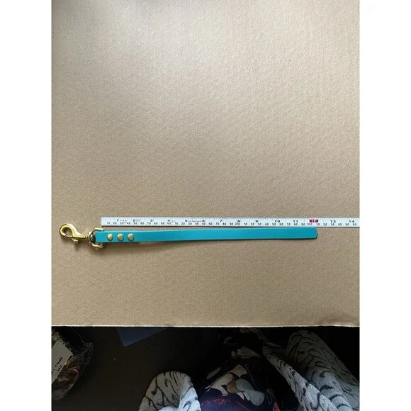 12” Biothane Dog Training Tab Bringsel 5/8" wide Solid Brass Hardware USA Made - Picture 7 of 7